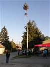 p5282702